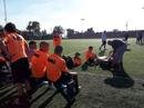 Treino do Galo em Tijuana