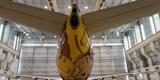 O Boeing 737 foi totalmente estilizado pelos artistas Otávio e Gustavo Pandolfo