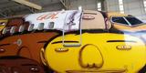 O Boeing 737 foi totalmente estilizado pelos artistas Otávio e Gustavo Pandolfo