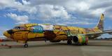 O Boeing 737 foi totalmente estilizado pelos artistas Otávio e Gustavo Pandolfo
