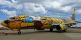 O Boeing 737 foi totalmente estilizado pelos artistas Otávio e Gustavo Pandolfo