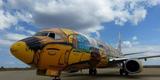 O Boeing 737 foi totalmente estilizado pelos artistas Otávio e Gustavo Pandolfo