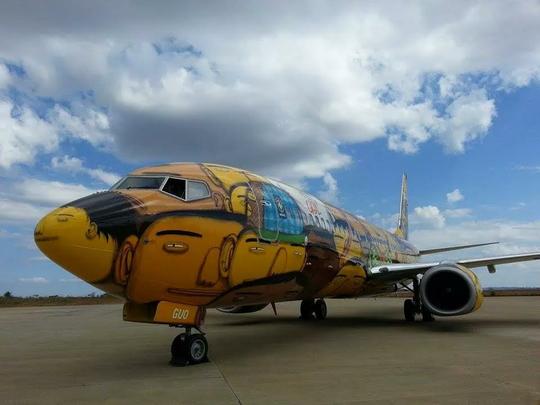 O Boeing 737 foi totalmente estilizado pelos artistas Otávio e Gustavo Pandolfo