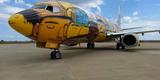 O Boeing 737 foi totalmente estilizado pelos artistas Otávio e Gustavo Pandolfo