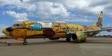 O Boeing 737 foi totalmente estilizado pelos artistas Otávio e Gustavo Pandolfo