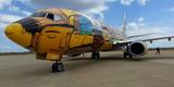 O Boeing 737 foi totalmente estilizado pelos artistas Otávio e Gustavo Pandolfo