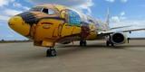 O Boeing 737 foi totalmente estilizado pelos artistas Otávio e Gustavo Pandolfo