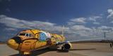 O Boeing 737 foi totalmente estilizado pelos artistas Otávio e Gustavo Pandolfo