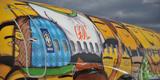 O Boeing 737 foi totalmente estilizado pelos artistas Otávio e Gustavo Pandolfo