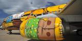 O Boeing 737 foi totalmente estilizado pelos artistas Otávio e Gustavo Pandolfo