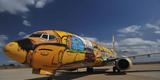 O Boeing 737 foi totalmente estilizado pelos artistas Otávio e Gustavo Pandolfo