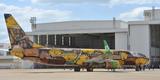 O Boeing 737 foi totalmente estilizado pelos artistas Otávio e Gustavo Pandolfo