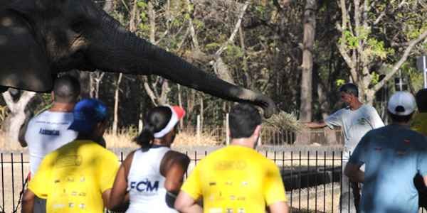 Sidney Lopes/EM/DA Press Sidney Lopes/EM/DA Press