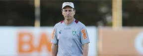 Comelli busca equil�brio entre todos os setores para ter sucesso em 2013 (Rodrigo Clemente/EM/D.A Press)