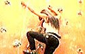 Gatas  disputam quem � melhor na escalada
 (Juliano Z/Divulga��o)