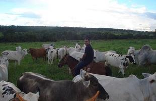 Fotos recentes de Boiadeiro na fazenda