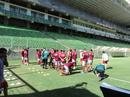 Imagens do treino do Am�rica no Independ�ncia