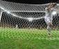 Gol de J� pela Sele��o