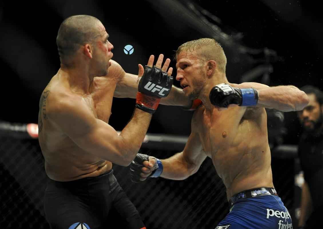 TJ Dillashaw surpreendeu, nocauteou Renan Baro no quinto round e conquistou o cinturo dos galos, no UFC 173, em maio
