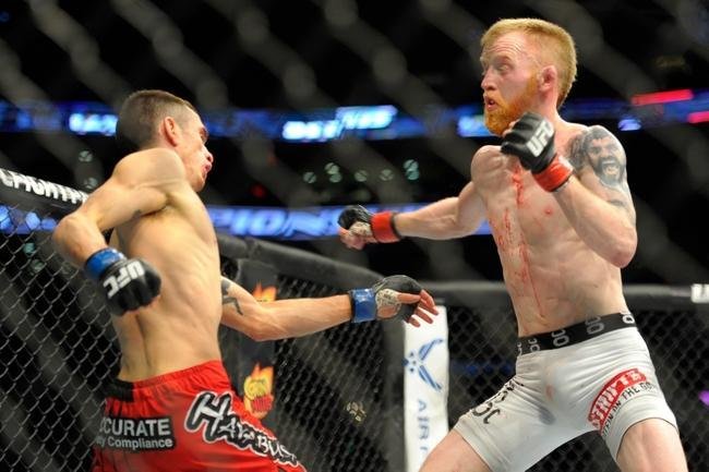 Paddy Holohan (bermuda branca) venceu Shane Howell por deciso unnime