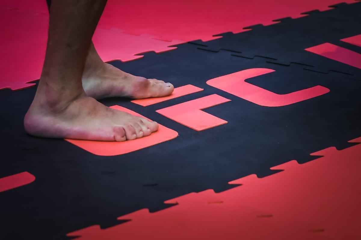 Treino aberto do UFC em Porto Alegre