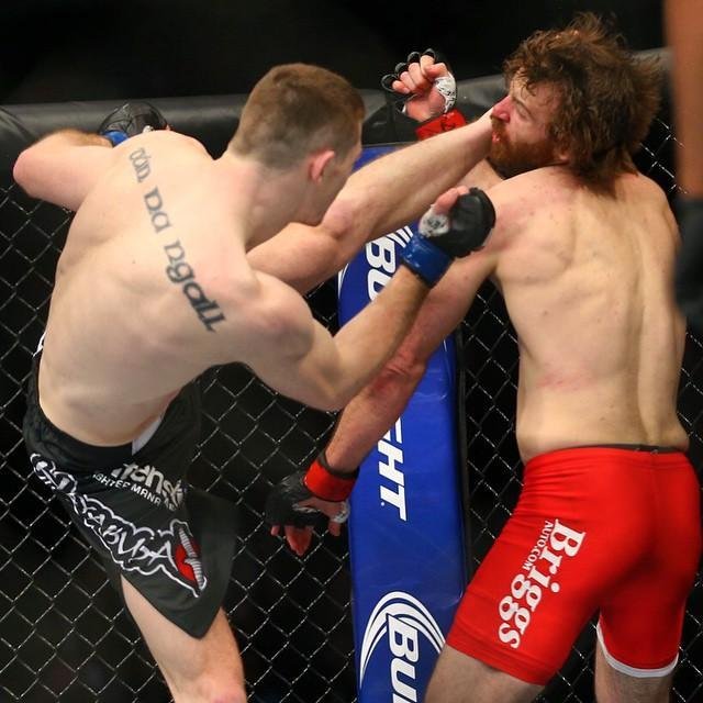 Imagens das lutas e bastidores do UFC 185, em Dallas - Joseph Duffy (luva azul) venceu Jake Lindsey por nocaute tcnico no primeiro round