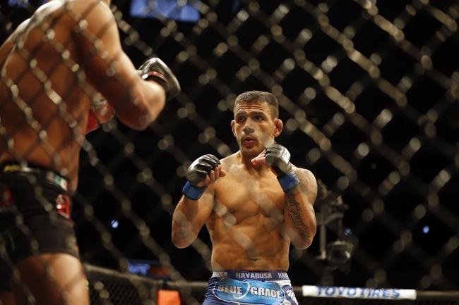 Fotos da vitria de Rafael dos Anjos, que valeu o cinturo dos leves do UFC