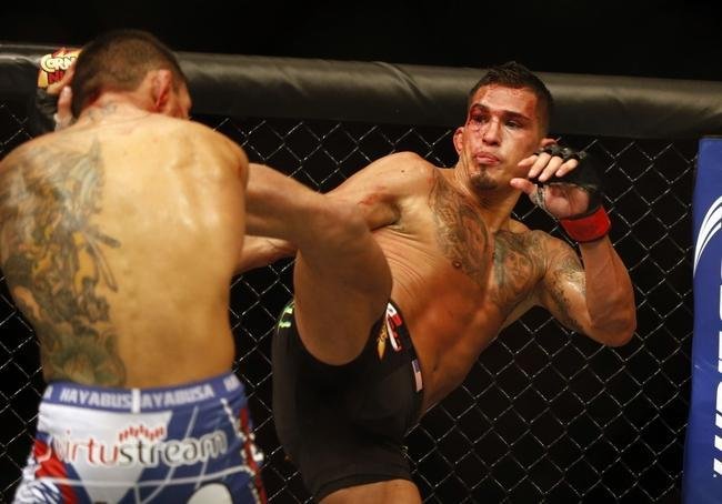 Fotos da vitria de Rafael dos Anjos, que valeu o cinturo dos leves do UFC