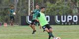 Imagens do treino coletivo do Amrica desta quarta-feira (18/03). Rubens marcou para os titulares e Rodrigo Silva empatou para os reservas: 1 a 1.