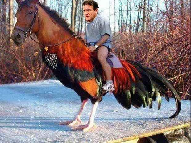 Torcedores foram s redes sociais, neste domingo, para provocar rivais com bom humor