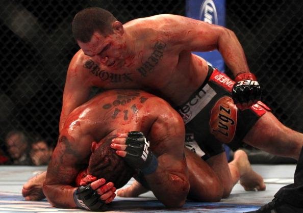 A recuperao veio de forma rpida. Velasquez enfrentou o brasileiro Antnio Pezo e nocauteou de forma rpida com uma srie de socos e cotoveladas, ganhando nova chance de disputar o cinturo