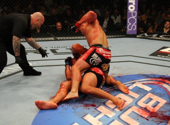 A recuperao veio de forma rpida. Velasquez enfrentou o brasileiro Antnio Pezo e nocauteou de forma rpida com uma srie de socos e cotoveladas, ganhando nova chance de disputar o cinturo