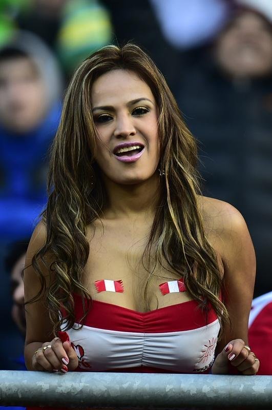 Torcedores do Peru e Brasil fizeram bonita festa no Chile para a estreia das selees na Copa Amrica