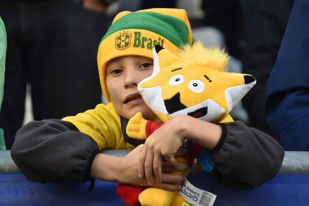 Torcedores do Peru e Brasil fizeram bonita festa no Chile para a estreia das selees na Copa Amrica