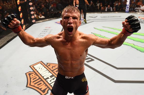 Confira fotos do massacre de TJ Dillashaw sobre Renan Baro no UFC em Chicago