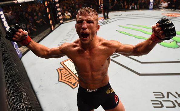 Confira fotos do massacre de TJ Dillashaw sobre Renan Baro no UFC em Chicago