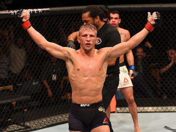 Confira fotos do massacre de TJ Dillashaw sobre Renan Baro no UFC em Chicago