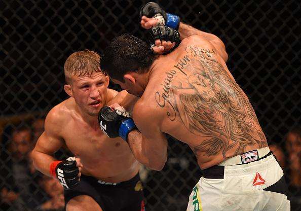 Confira fotos do massacre de TJ Dillashaw sobre Renan Baro no UFC em Chicago