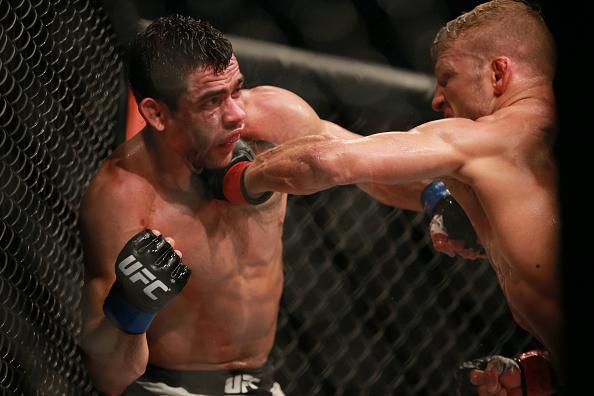 Confira fotos do massacre de TJ Dillashaw sobre Renan Baro no UFC em Chicago