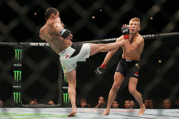 Confira fotos do massacre de TJ Dillashaw sobre Renan Baro no UFC em Chicago