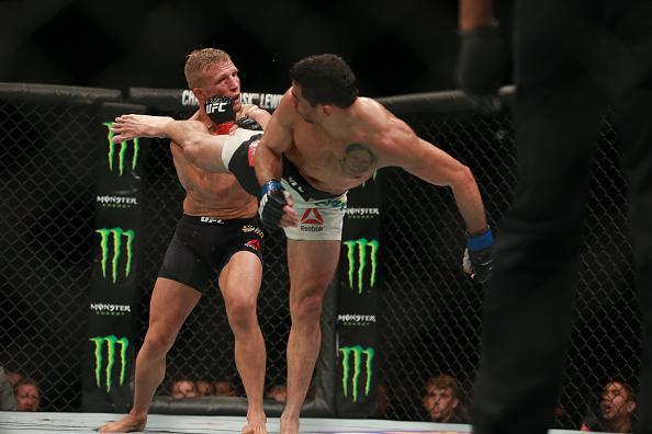 Confira fotos do massacre de TJ Dillashaw sobre Renan Baro no UFC em Chicago