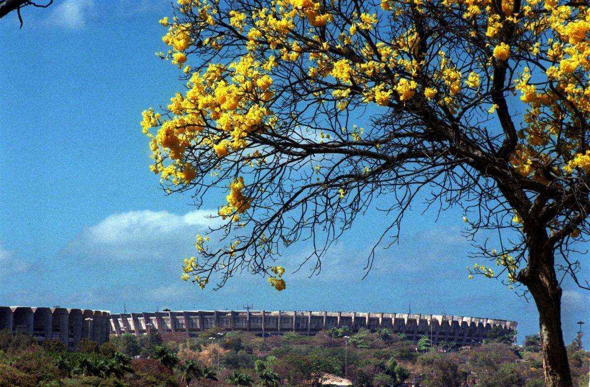 Foto de Beto Novaes/2013