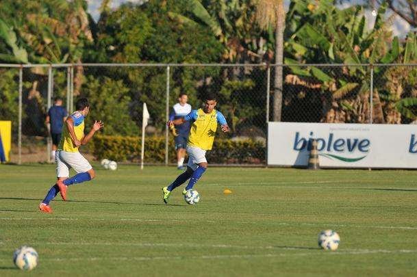 Imagens do treino do Cruzeiro nesta quinta-feira na Toca da Raposa II