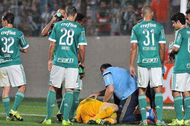 Imagens da partida entre Atltico e Palmeiras, no Independncia, pela 20 rodada do Campeonato Brasileiro