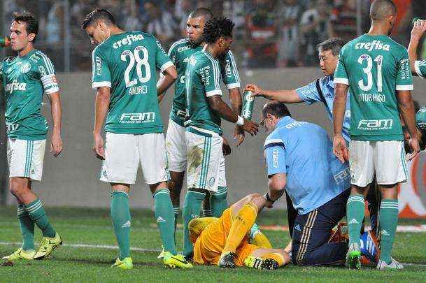 Imagens da partida entre Atltico e Palmeiras, no Independncia, pela 20 rodada do Campeonato Brasileiro