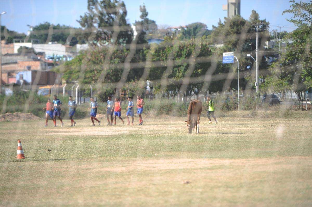 Cavalo ocupa posio central em campo; jogadores treinam desviando do animal