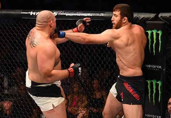 Ruslan Magomedov (bermuda preta) venceu Shawn Jordan por deciso unnime