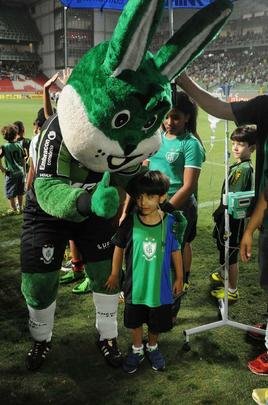 O garotinho Matheus Teodoro, de 6 anos, entrou em campo com goleiro Joo Ricardo na partida entre Amrica e Paysandu, nesta tera-feira, no Independncia, pela 34 rodada da Srie B. Matheus vestiu uma camisa com o escudo do Coelho e as cores verde, preta e azul, alusiva tambm a Atltico e Cruzeiro. O menino sofre de displasia neuronal no intestino - doena rara que se agravou de forma severa em seu organismo e fez com que ele vivesse em uma cama de hospital por um ano. A nica possibilidade de cura para o problema consiste em um transplante de intestino, que s  realizado em Miami, nos Estados Unidos. A famlia precisa arrecadar cerca de R$ 4 milhes para a realizao do procedimento cirrgico.