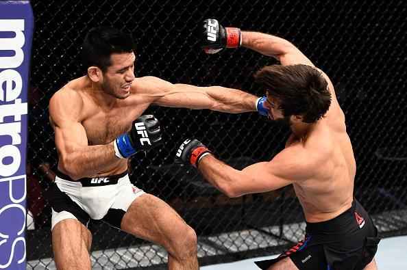 Zubaira Tukhugov (luvas vermelhas) venceu Phillipe Nover por deciso dividida