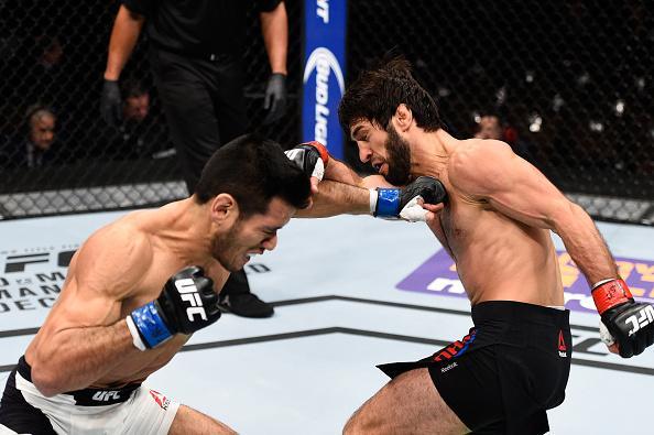 Zubaira Tukhugov (luvas vermelhas) venceu Phillipe Nover por deciso dividida